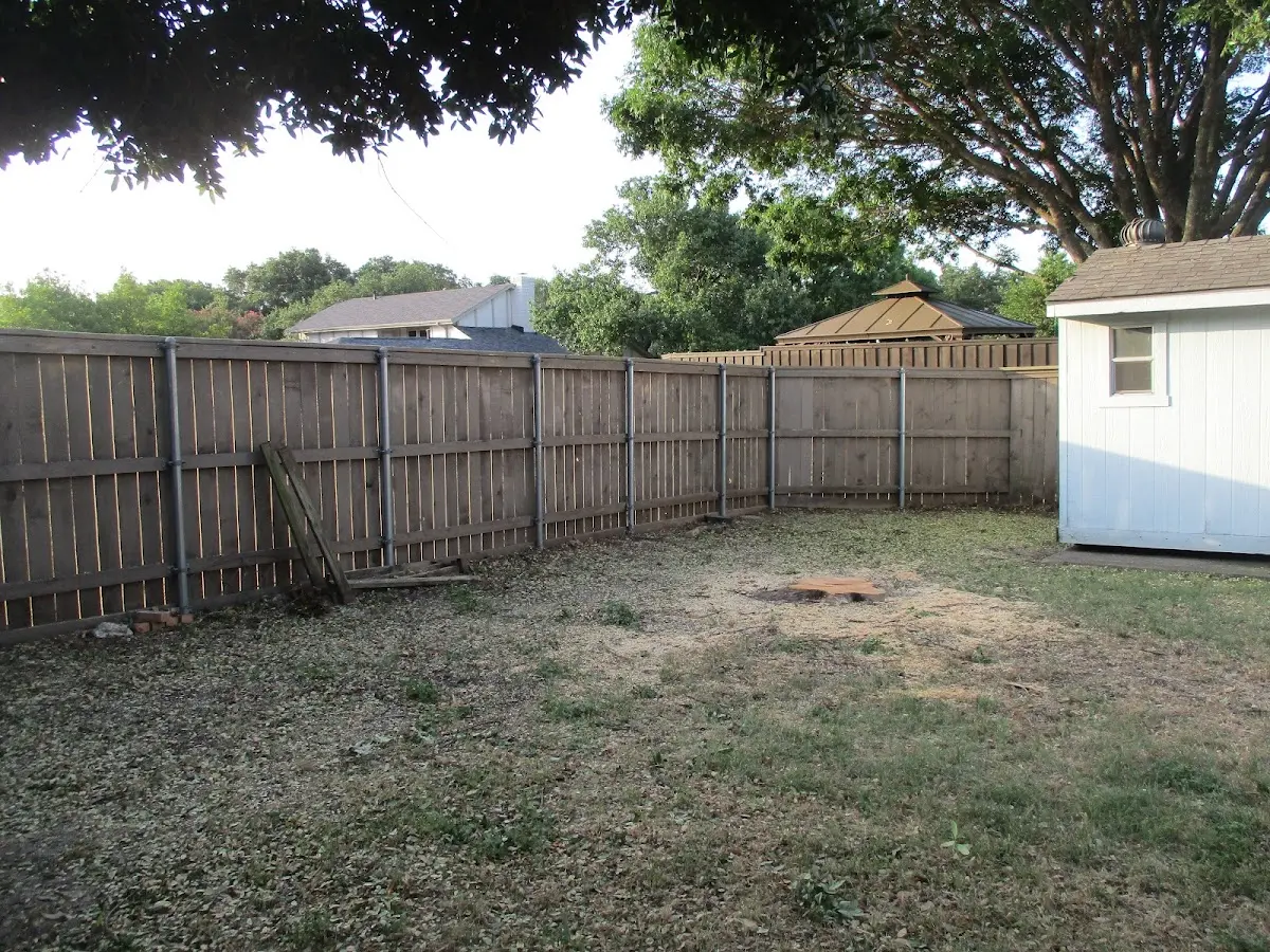 Cleared yard after professional tree removal in Strawberry Valley