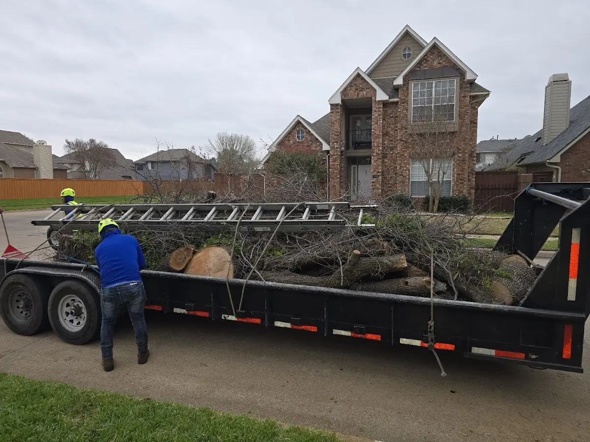 Expert Tree Fertilization with proper safety equipment in Strawberry Valley